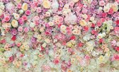 Beautiful Flowers Pastel Colours Photo Wallcovering