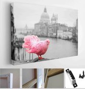 Pink dove on the bridge railing in Venice (Italy). A view from the Accademia bridge over the Grand Canal and the Basilica of Santa Maria della Salute - Modern Art Canvas - Horizont