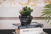 HouseVitamin apekop planten pot-Zwart