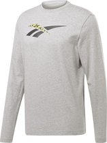 Reebok Cl V Hyper Gr Longsleeve Heren T-shirt grijs