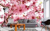 Dimex Apple Blossom Vlies Fotobehang 375x250cm 5-banen