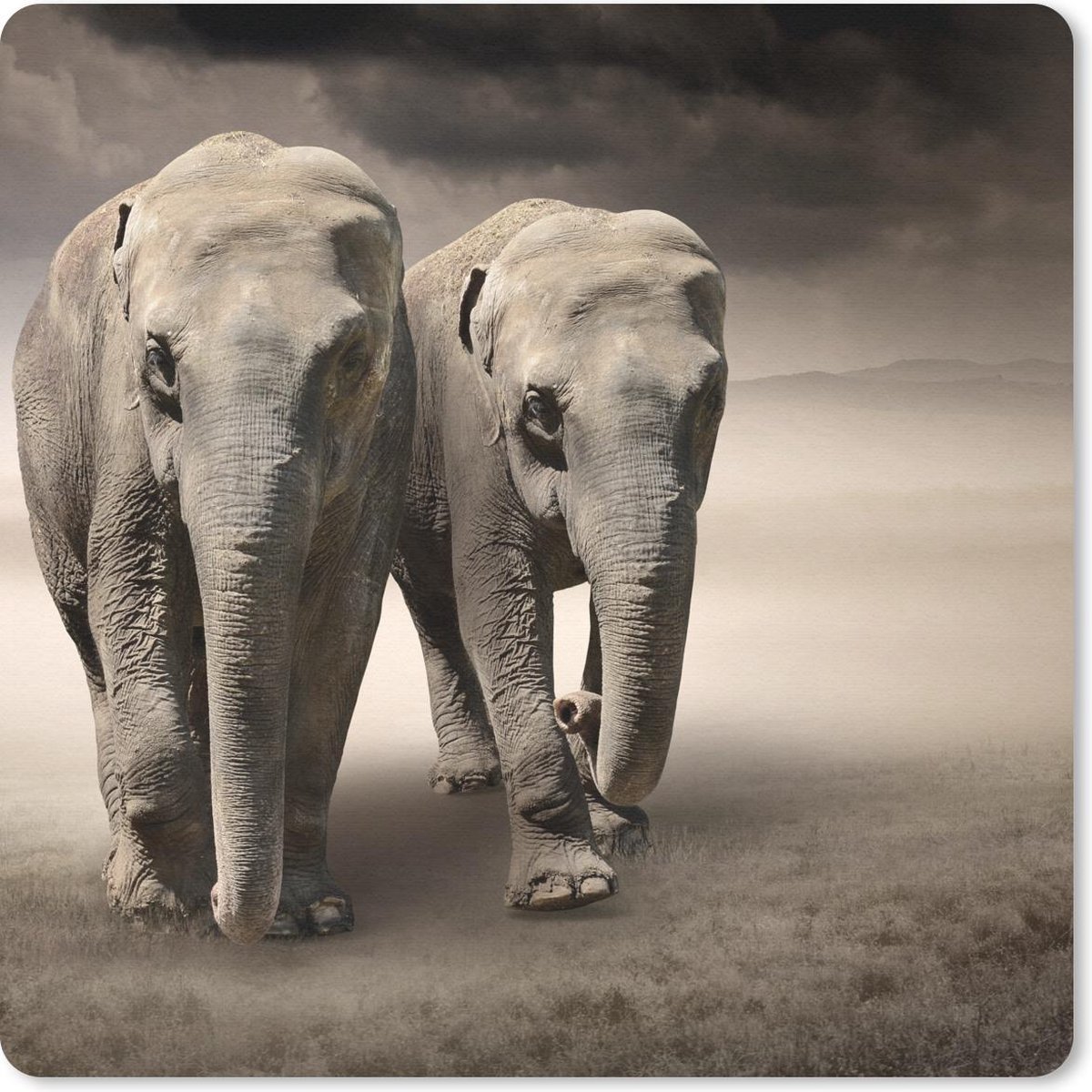 Muismat 20x20 cm - Mousepad Olifant - Koppel - Berg - Muismatten