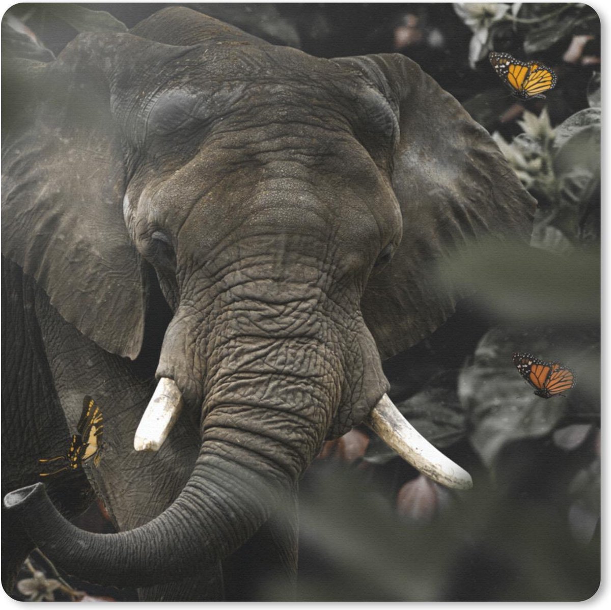 Muismat 20x20 cm - Mousepad Dieren - Olifant - Vlinders - Muismatten