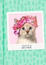 Katten Agenda 2022