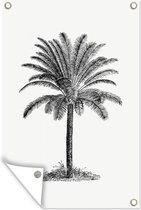 Tuinposters buiten Retro - Palmboom - Bomen - 60x90 cm - Tuindoek - Buitenposter