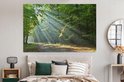 Zonnestralen op een bosweg, hangend boven een bed met spiegel aan de muur.