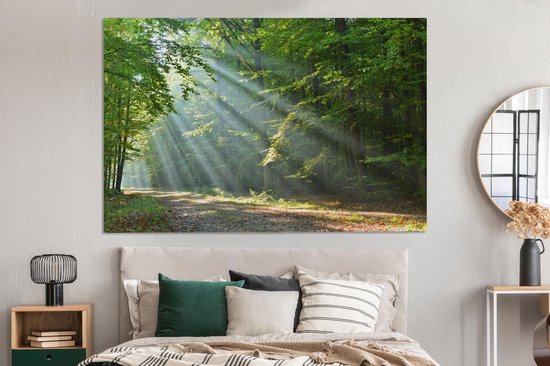 Zonnestralen op een bosweg, hangend boven een bed met spiegel aan de muur.