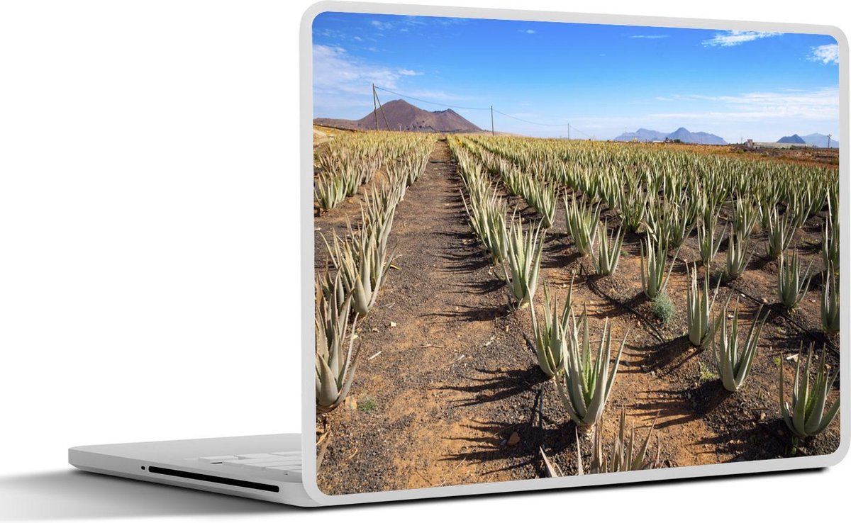 Afbeelding van product SleevesAndCases  Laptop sticker - 13.3 inch - Meerdere rijen van aloë vera planten op Fuerteventura