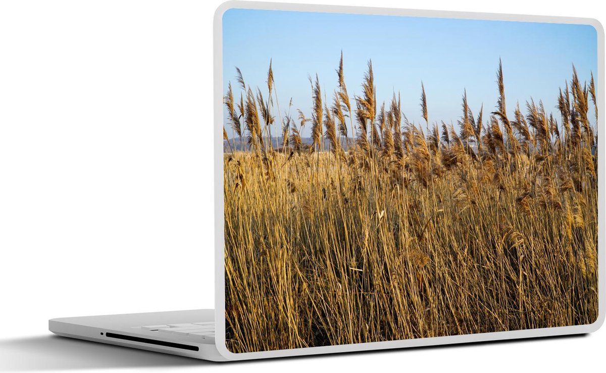 Afbeelding van product SleevesAndCases  Laptop sticker - 17.3 inch - Grote groep riet