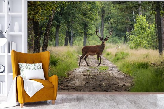 Papier peint - Papier peint photo Forêt - Cerfs - Arbres - Largeur 420 cm x hauteur 280 cm