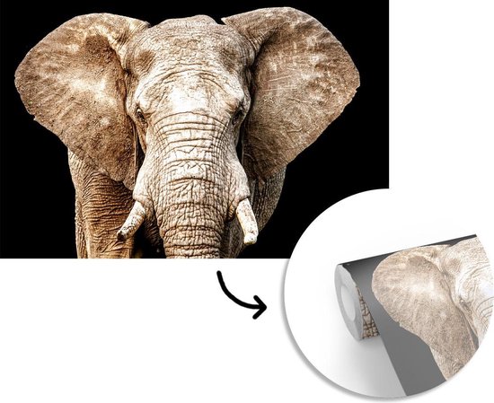 Papier peint - Papiers Papier peint photo Éléphant - Portrait - Zwart - Largeur 390 cm x Hauteur 260 cm