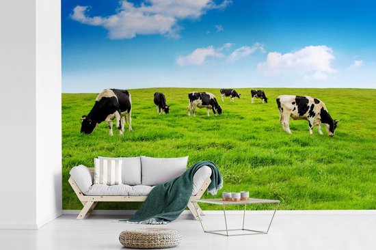 Papier peint - Papier peint photo Vache - Herbe - Ciel - Largeur 390 cm x Hauteur 260 cm