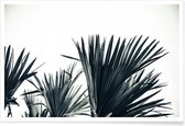 JUNIQE - Poster Palm Shade 3 -20x30 /Grijs & Wit