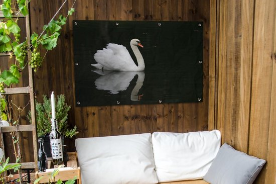 Affiche de jardin Gracieux nageur 120x80 cm - Toile de jardin / Toile d'extérieur / Peintures d'extérieur (décoration de jardin)