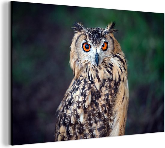 Eagle Owl Aluminium 30x20 cm - petit - Tirage photo sur aluminium (décoration murale en métal)