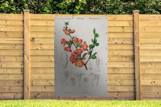 Décoration murale Plante - Vintage - Botanica - 120x180 cm - Affiche jardin - Toile jardin