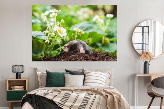 Papier d'affiche de taupe dans un jardin