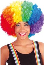 pruik Afro polyester regenboog one-size