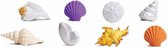 speelset Seashells Toob wit/geel/oranje/paars 8-delig