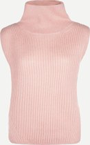 Steppin' Out Herfst/Winter 2021 Trui Jeff Vrouwen - Regular Fit - Nylon - Roze (L)