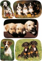 etiketten puppy's junior 16 x 9 cm papier 3 vellen