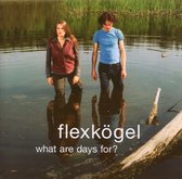 Flexkogel - What Are Days For? (CD)