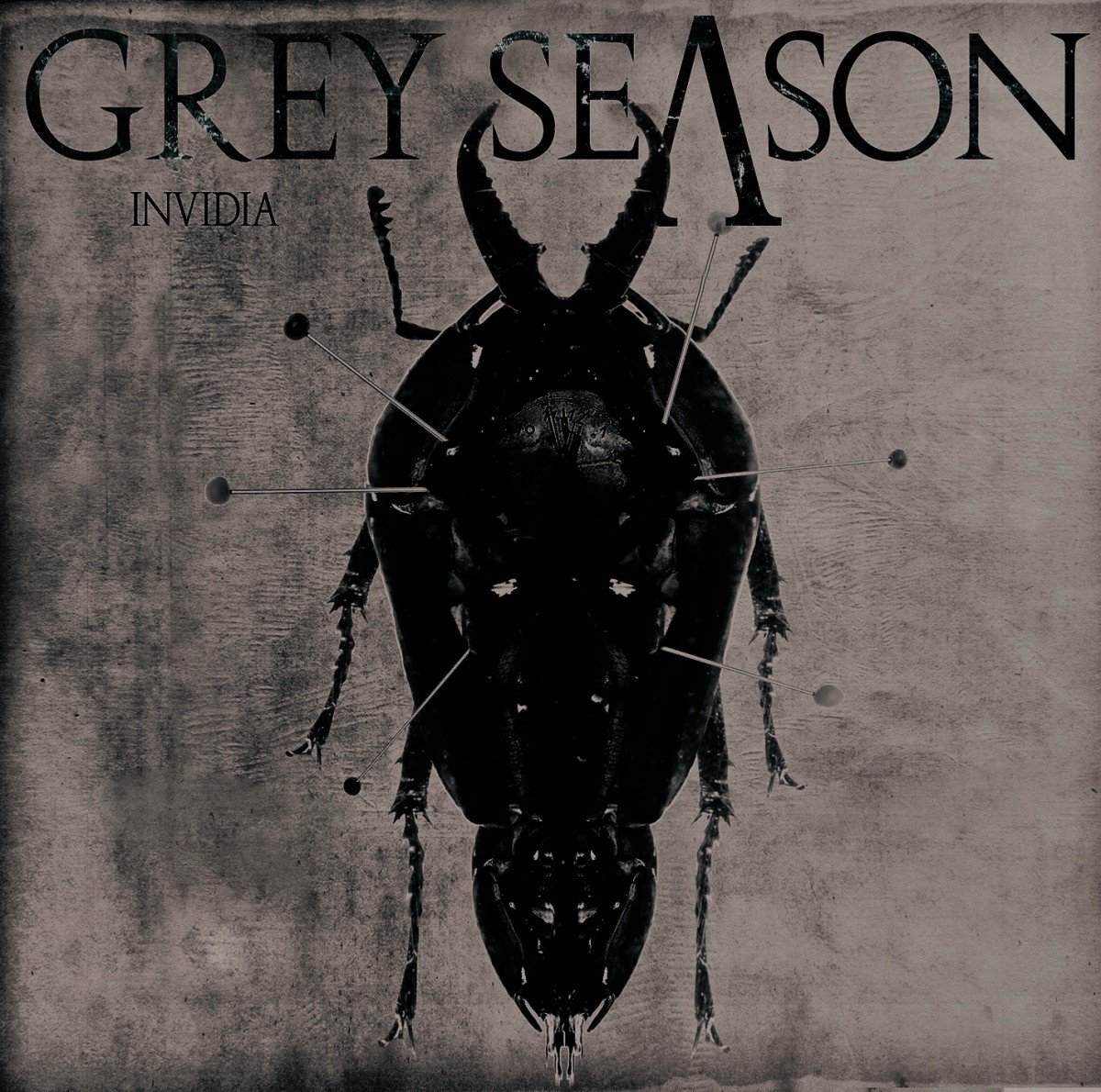 Grey Season - Invidia (CD)