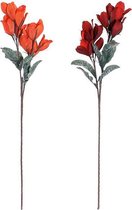 Decoratieve Bloem DKD Home Decor EVA (Ethyleenvinylacetaat) (2 pcs)