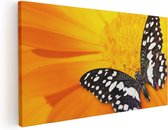 Artaza Canvas Schilderij Vlinder Op Een Oranje Bloem - 100x50 - Groot - Foto Op Canvas - Canvas Print