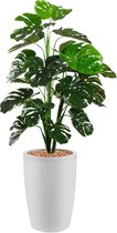 HTT - Kunstplant Monstera in Genesis rond wit H150 cm