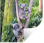 Muurstickers - Sticker Folie - Koala - Boom - Eucalyptus - 30x30 cm - Plakfolie - Muurstickers Kinderkamer - Zelfklevend Behang - Zelfklevend behangpapier - Stickerfolie