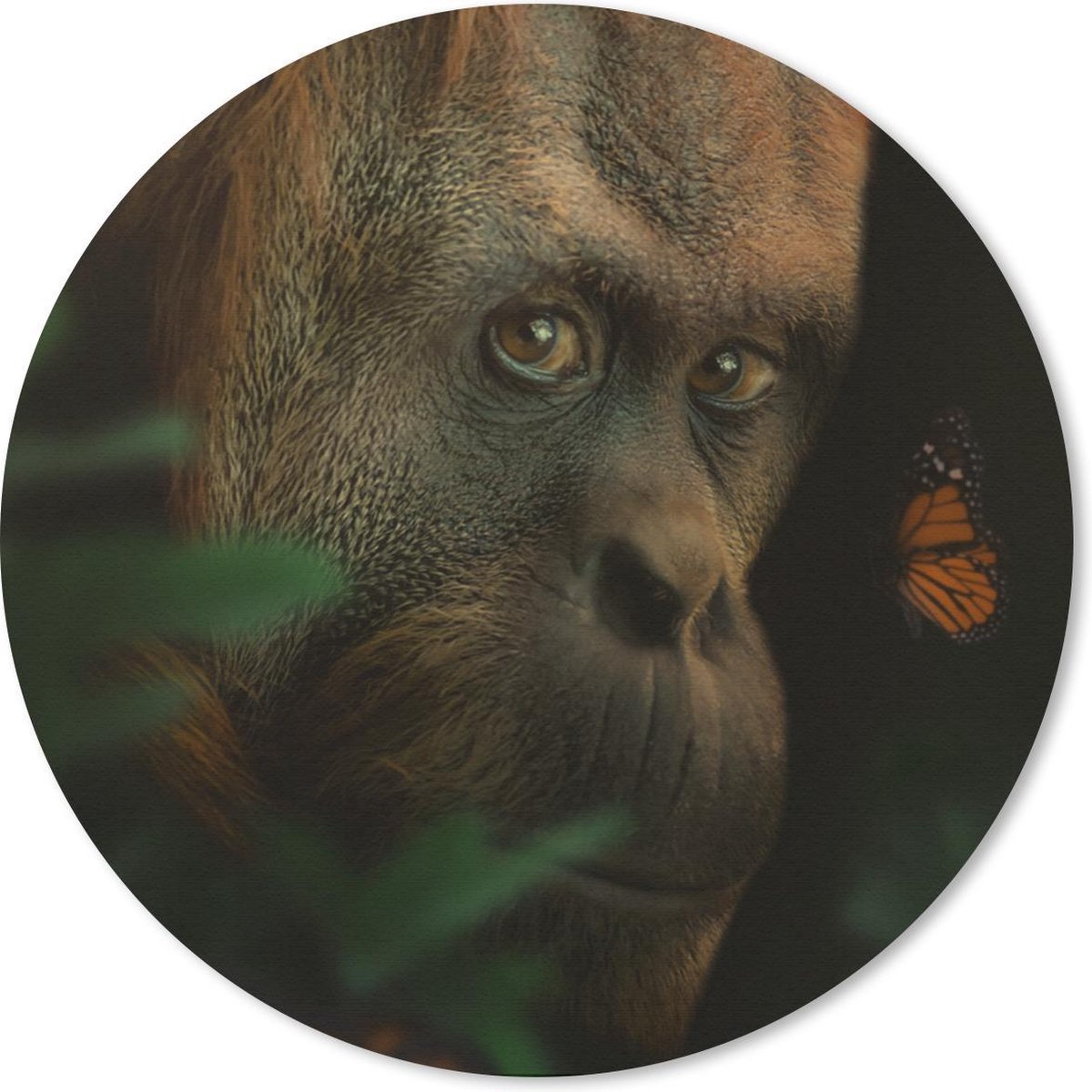 Muismat rond 50x50 cm - Mousepad Dieren - Aap - Natuur - Ronde muismatten