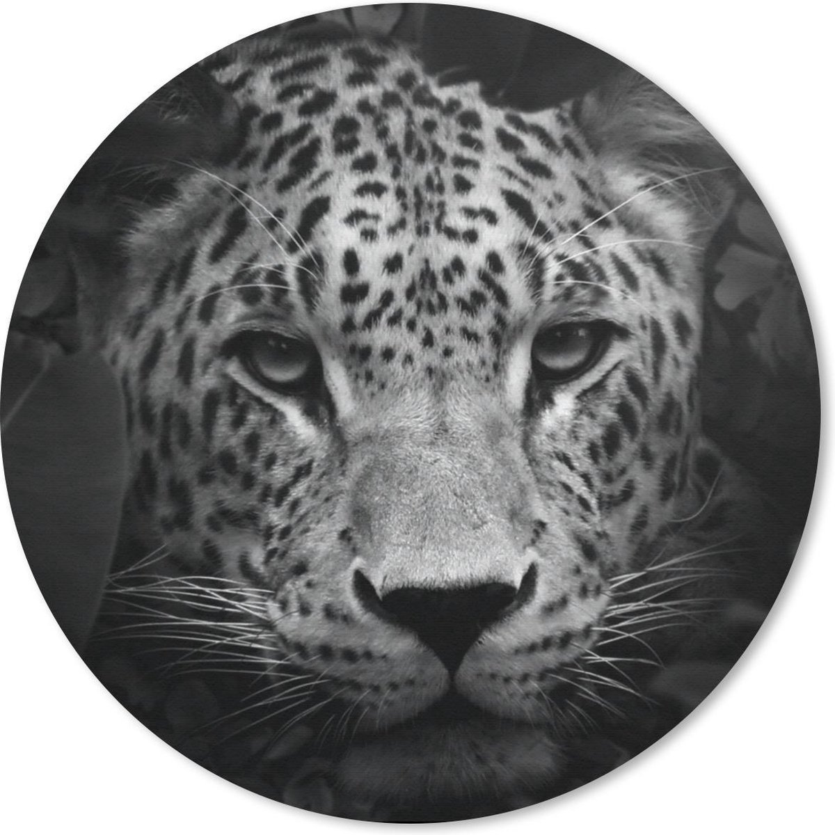 Muismat rond 40x40 cm - Mousepad Dieren - Panter - Jungle - Zwart - Wit - Ronde muismatten