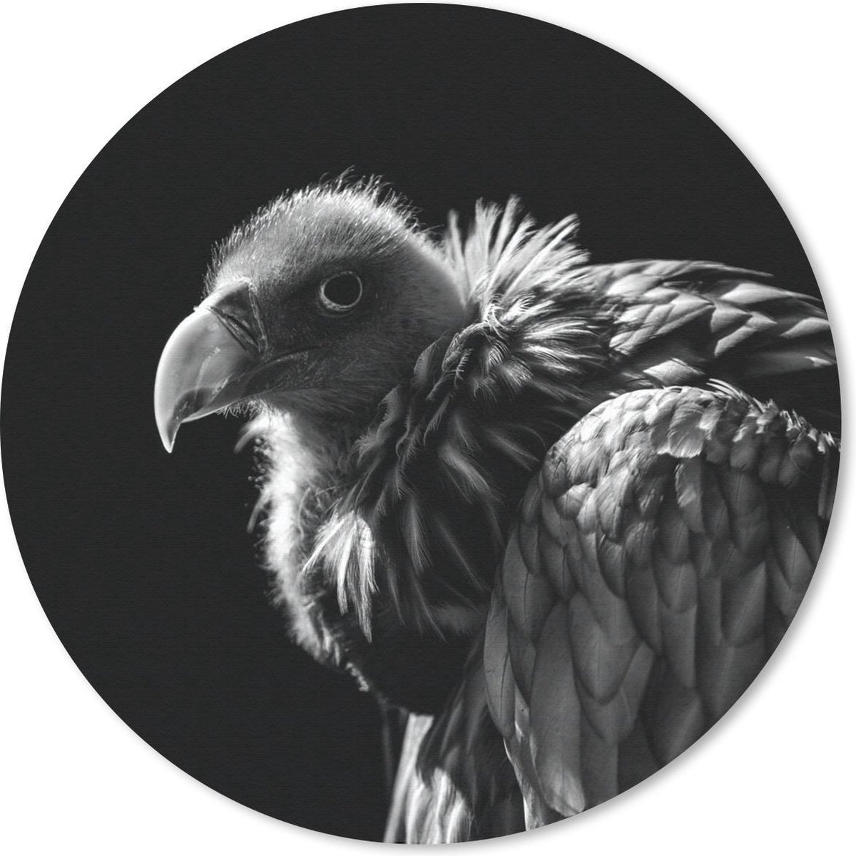 Muismat rond 40x40 cm - Mousepad Portret van een gier met gouden en zilveren veren - zwart wit - Ronde muismatten