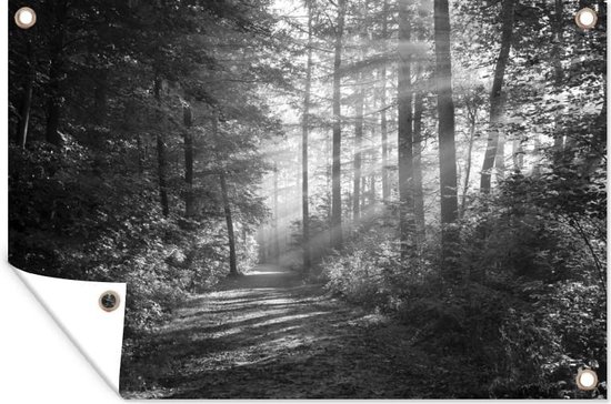 Tuindecoratie Weg door een mistig bos - zwart wit - 60x40 cm - Tuinposter - Tuindoek - Buitenposter