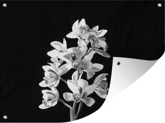 Tuin decoratie Een witte orchidee tegen een zwarte achtergrond - zwart wit - 40x30 cm - Tuindoek - Buitenposter