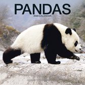 Pandas - Pandabären 2022 - 18-Monatskalender