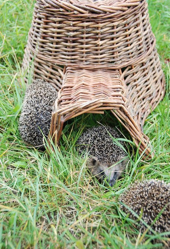 Esschert Design - Hedgehog Basket Willow Branches - Marron - 53 x 41 x 21 cm