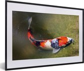 Fotolijst incl. Poster - Een koi karper op de bodem van een vijver - 60x40 cm - Posterlijst