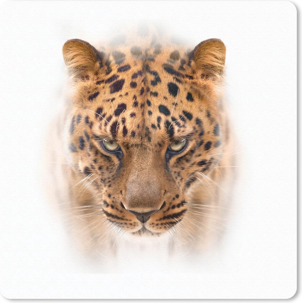 Muismat 30x30 cm - Mousepad Panter - Portret - Wit - Muismatten