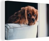 Canvas schilderij 180x120 cm - Wanddecoratie Hond - Stoel - Kop - Muurdecoratie woonkamer - Slaapkamer decoratie - Kamer accessoires - Schilderijen