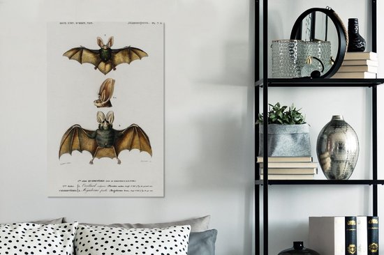 Toile Peinture Chauve-Souris - Vintage - Animal - 60x90 cm - Décoration murale