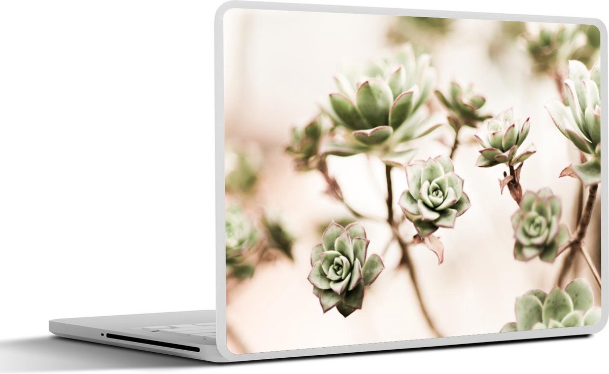 Laptop sticker - 10.1 inch - Bloemen - Vetplant - Takken - 25x18cm - Laptopstickers - Laptop skin - Cover