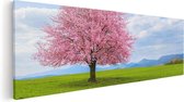 Artaza Canvas Schilderij Roze Sakura Bloesem Boom In Het Groene Veld - 60x20 - Foto Op Canvas - Canvas Print