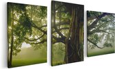 Artaza Canvas Schilderij Drieluik Grote Levensboom Met Veel Takken - 120x60 - Foto Op Canvas - Canvas Print