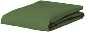 Essenza Premium Percale Hoeslaken Mosgroen - 90x200 cm