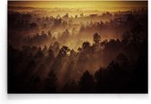 Walljar - Orange Woods - Muurdecoratie - Poster