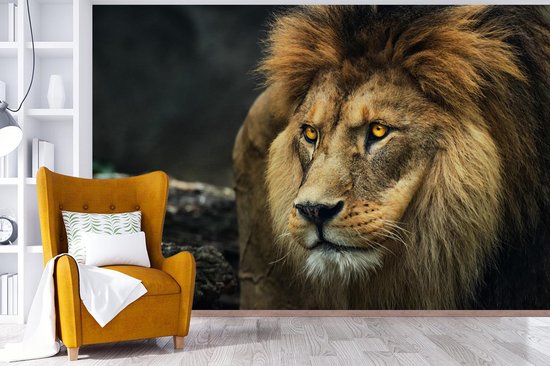 Papier peint - Papier peint photo Lion - Portrait - Sauvage - Largeur 420 cm x hauteur 280 cm