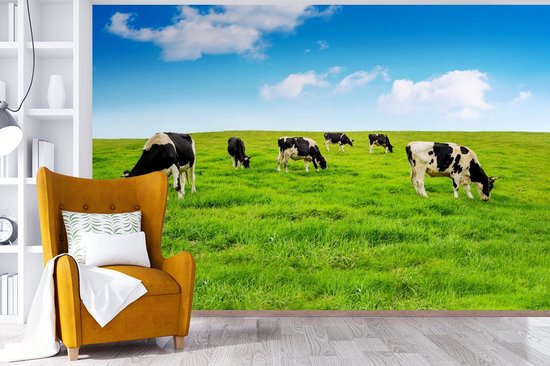 Papier peint - Papier peint photo Vache - Herbe - Ciel - Largeur 390 cm x Hauteur 260 cm