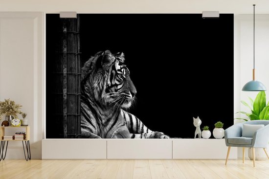 Papier peint - Papier peint photo Tigre - Zwart - Wit - Séance photo - Largeur 360 cm x hauteur 240 cm